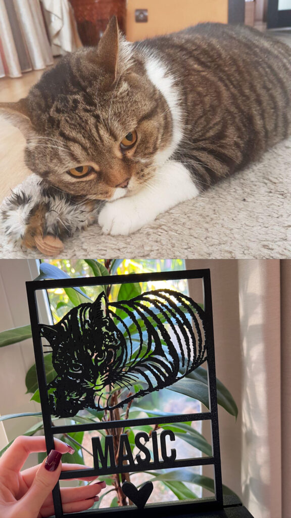 Gepersonaliseerd 3D huisdier in frame